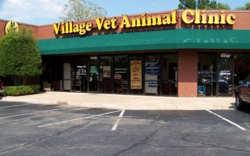 village vet animal clinic exterior