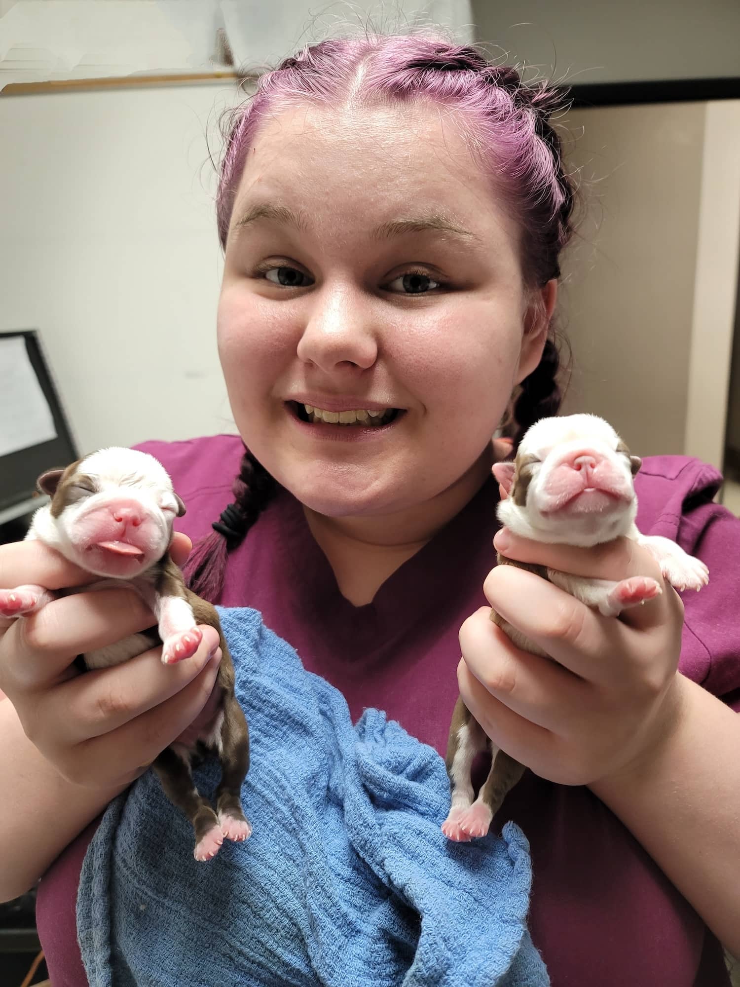 Staff member holding two newborn puppies