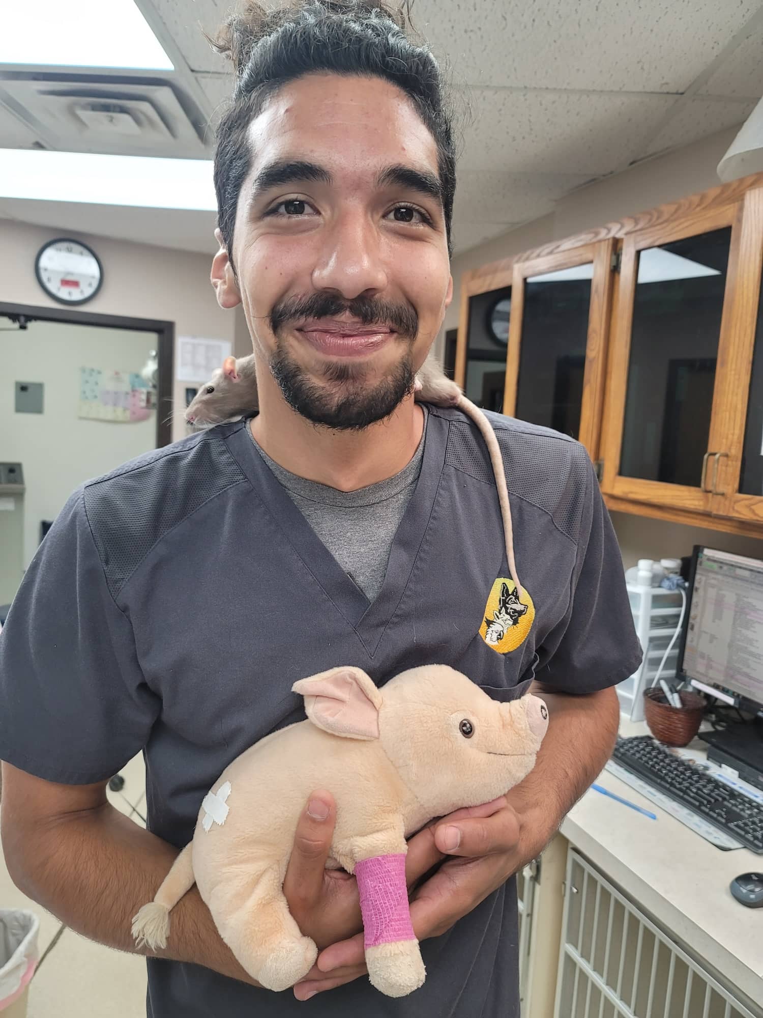 Staff member holding stuffed pig